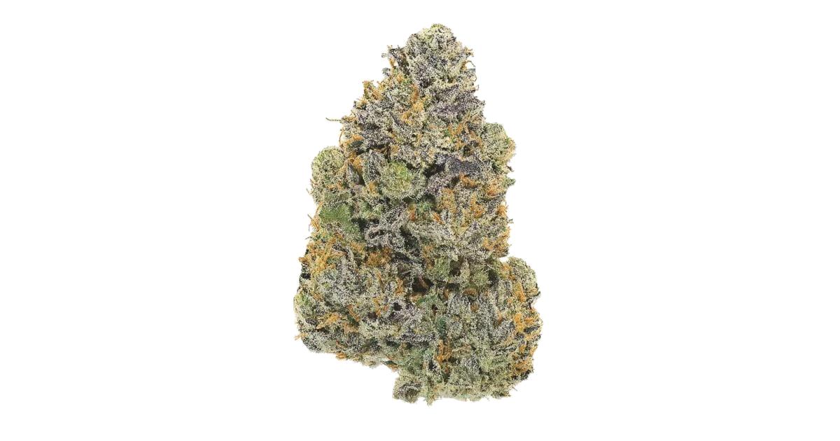 Hollywood Haze
