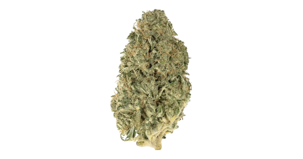 Hollywood Pure Kush