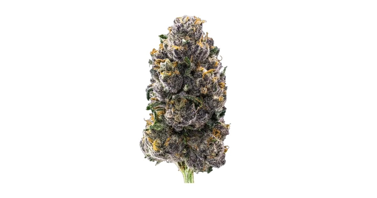 Hollywood