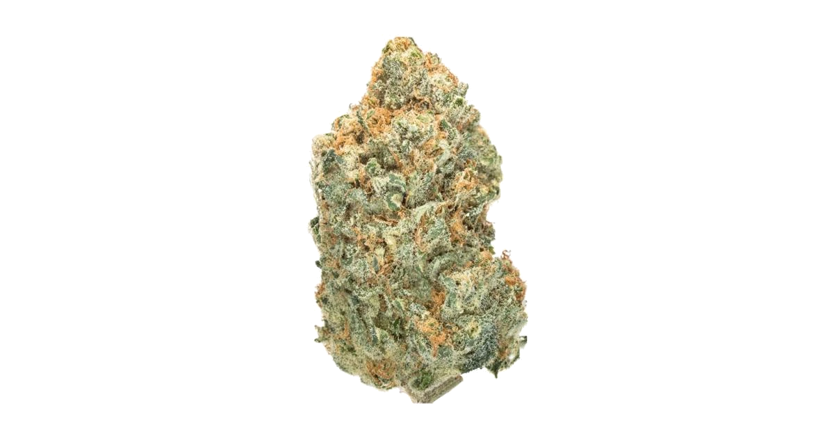 Honey Popz