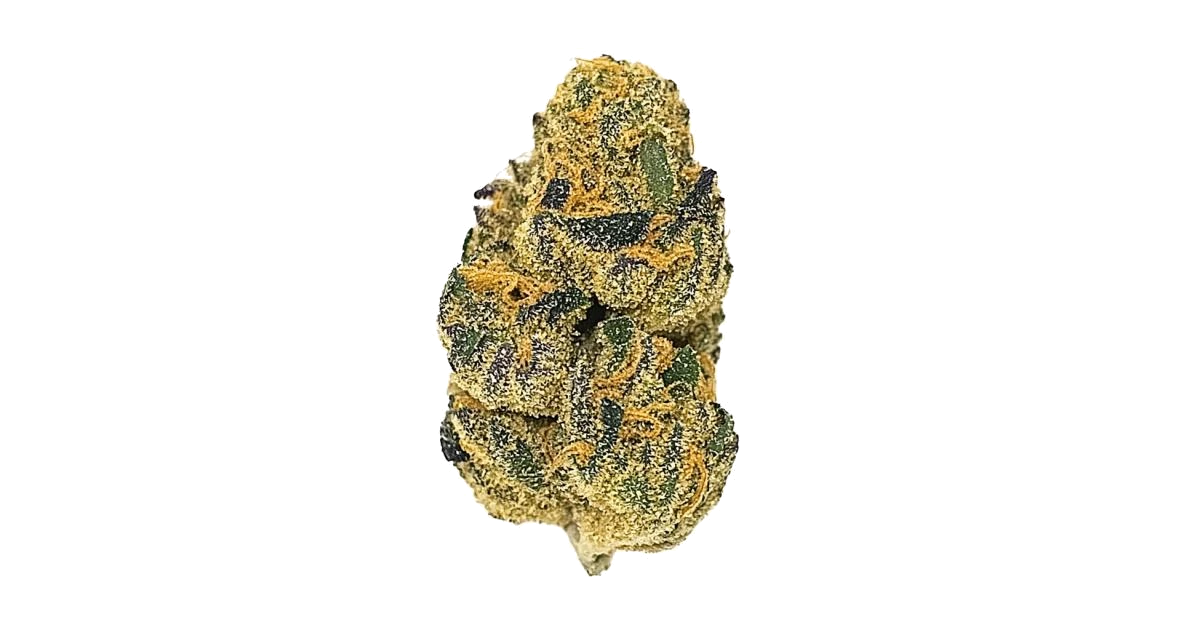 Honeydew