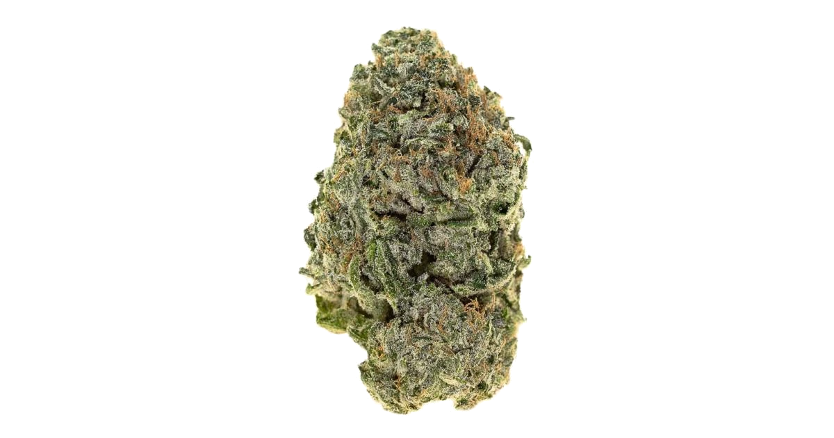 Humboldt