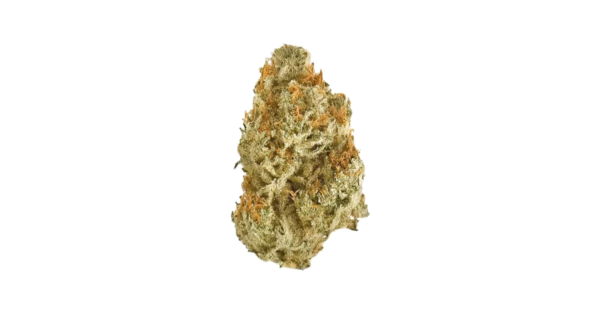 Jack Diesel