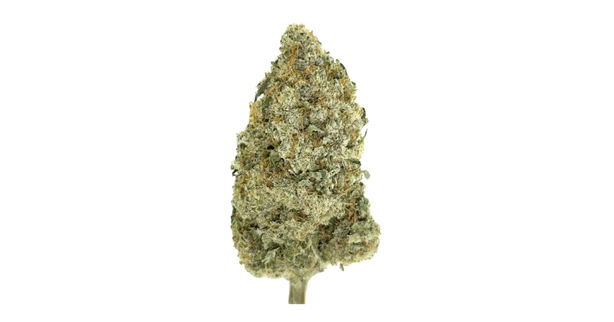 Jamaican Pearl