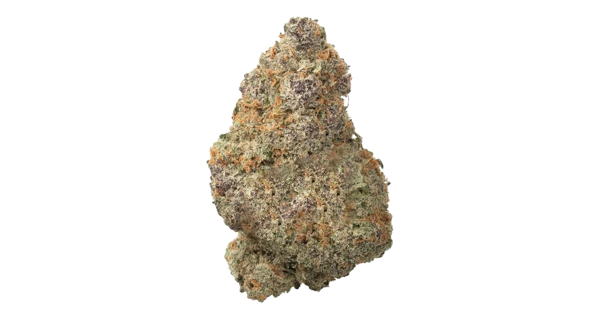 Jamaican
