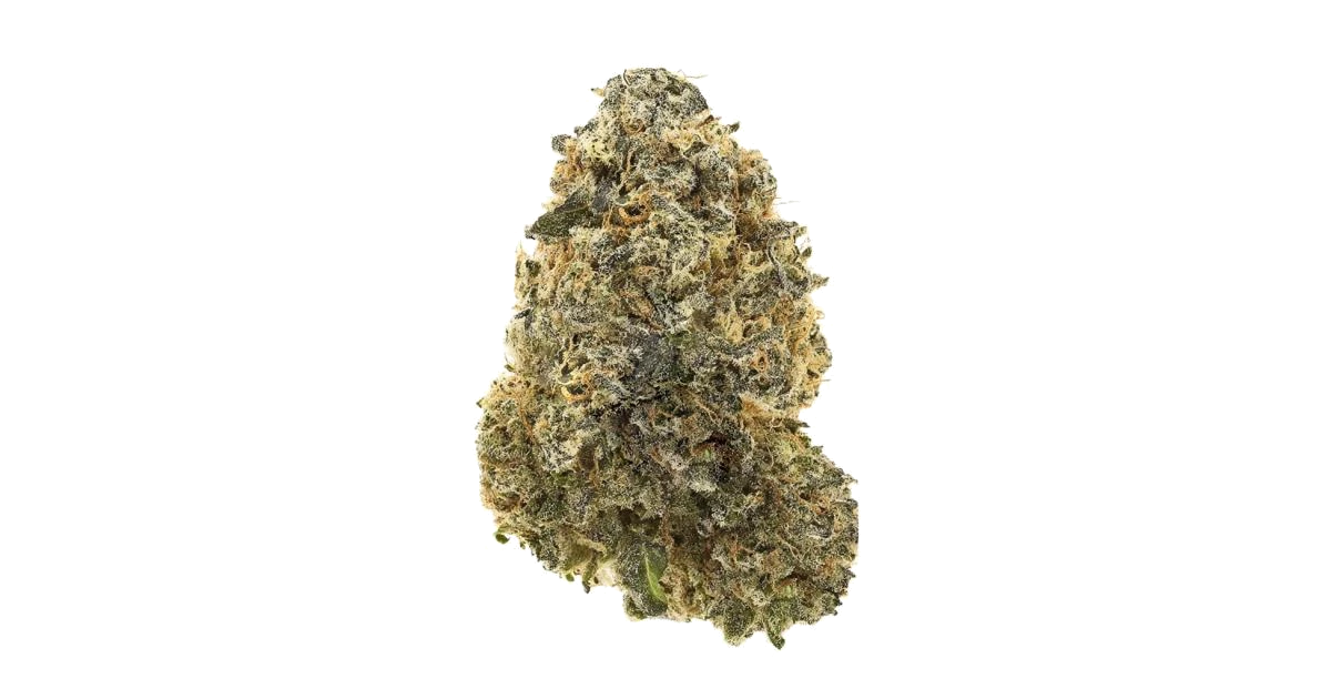 Jaw Stomper