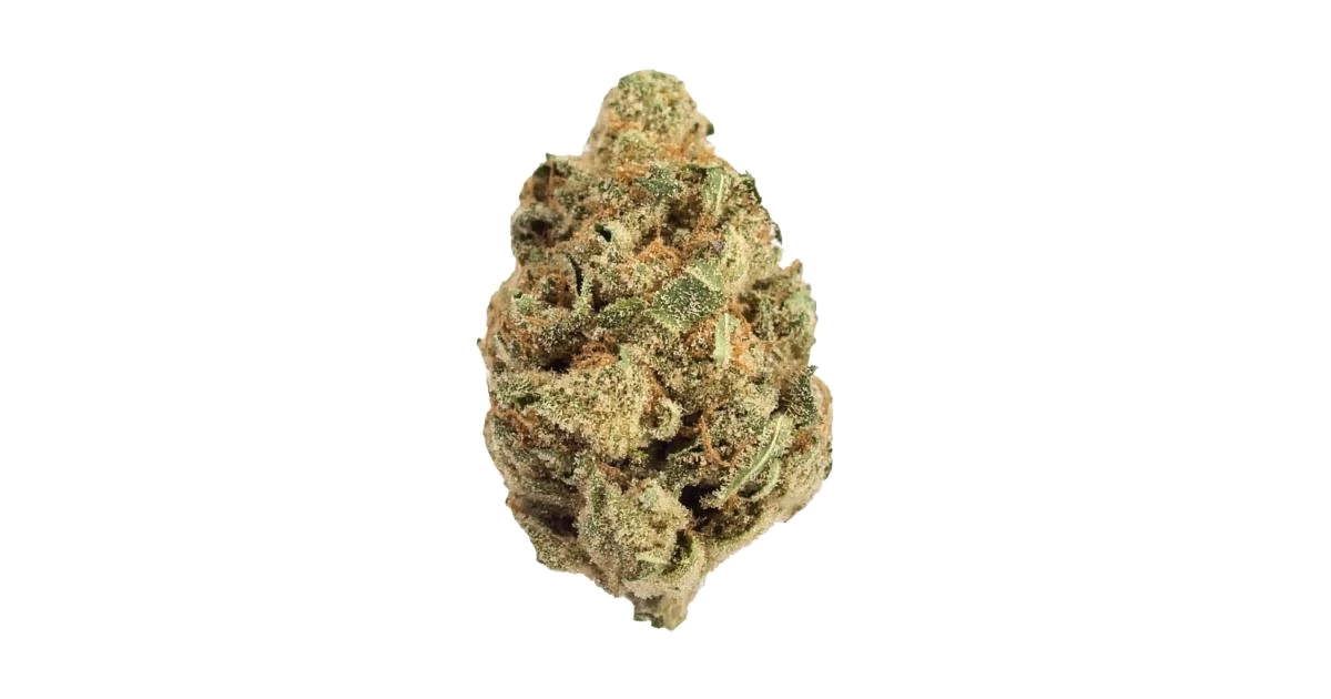 Jelly Rancher