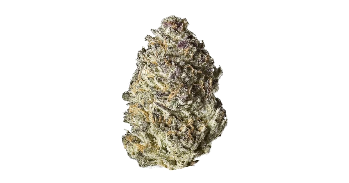 Jungle Fire