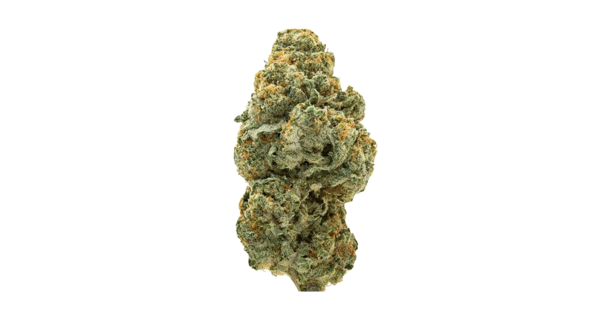 Jungle Mints