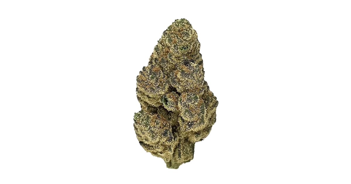 Kimbo Kush