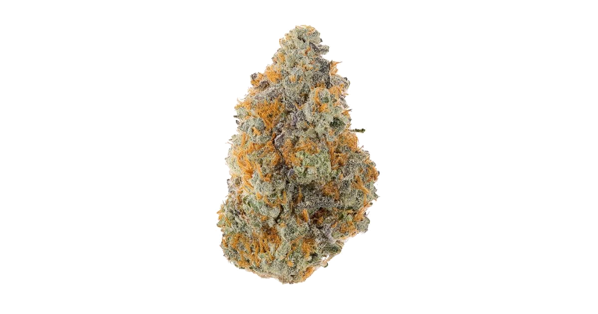 King Kush