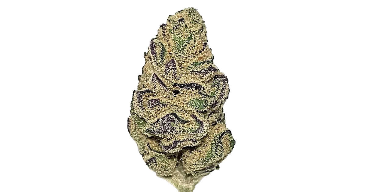 King's OG