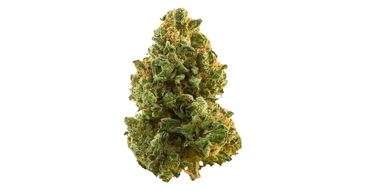Kosher Dawg