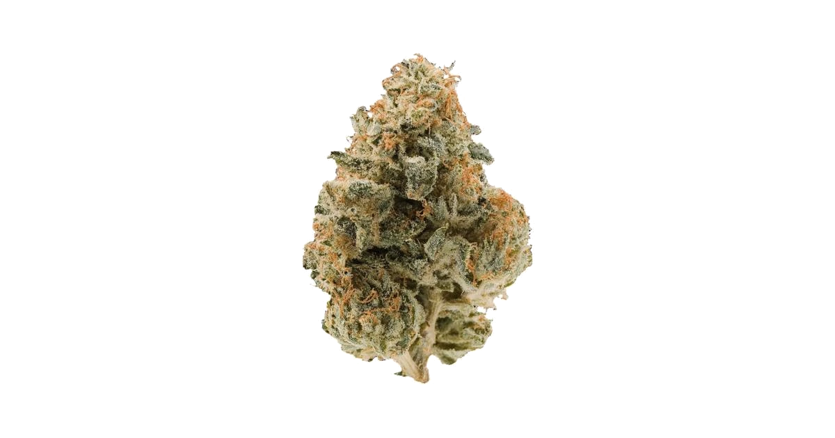 Kush Mountain