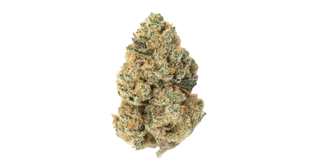 Lava Cake
