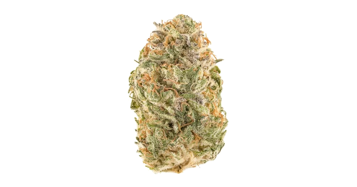 Lava Flower