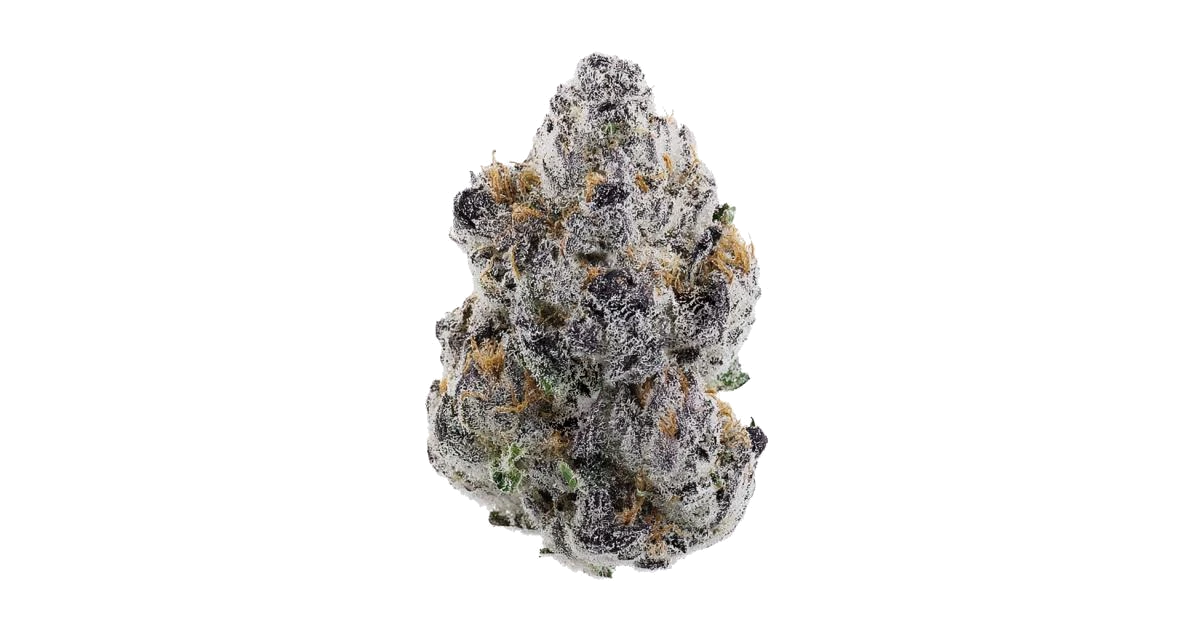 Lava Kush