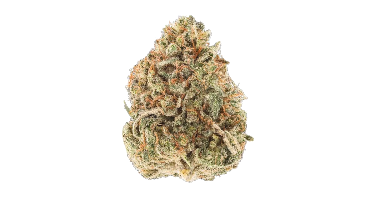 Lemon Bean