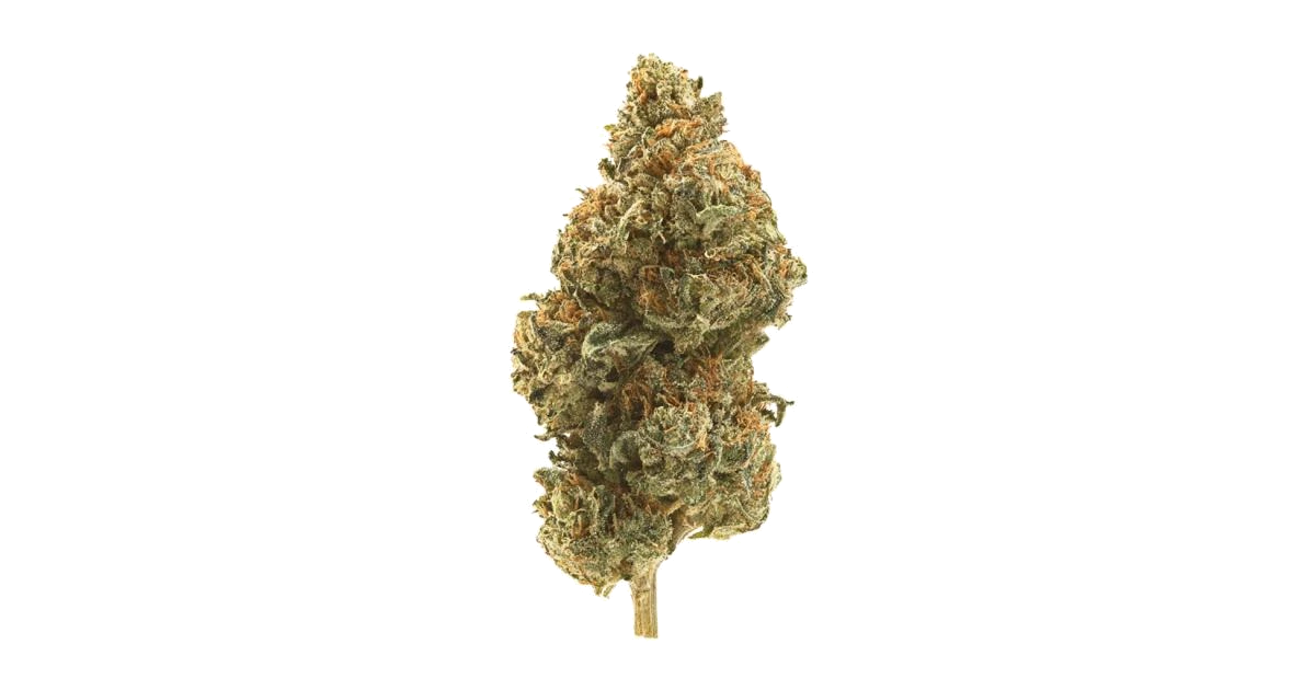 Lemon Cane