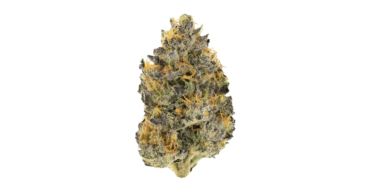 Lemon Cherry Pie
