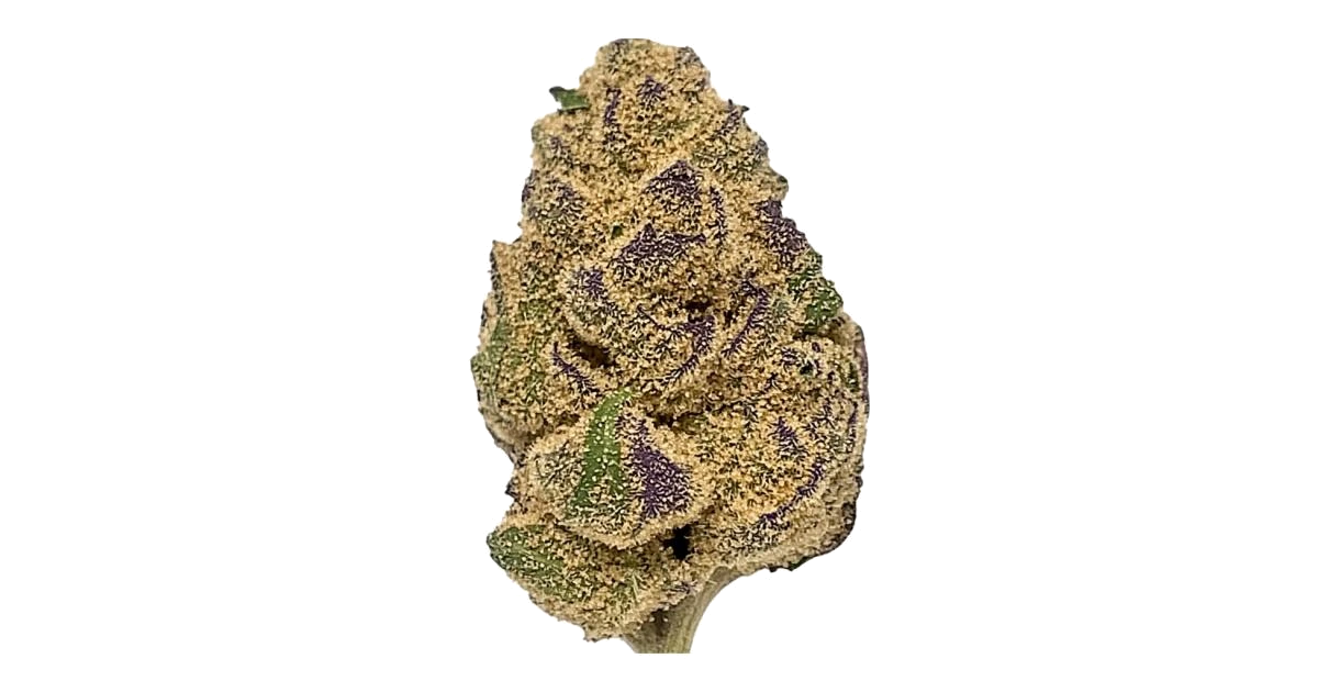 Lemon Jack