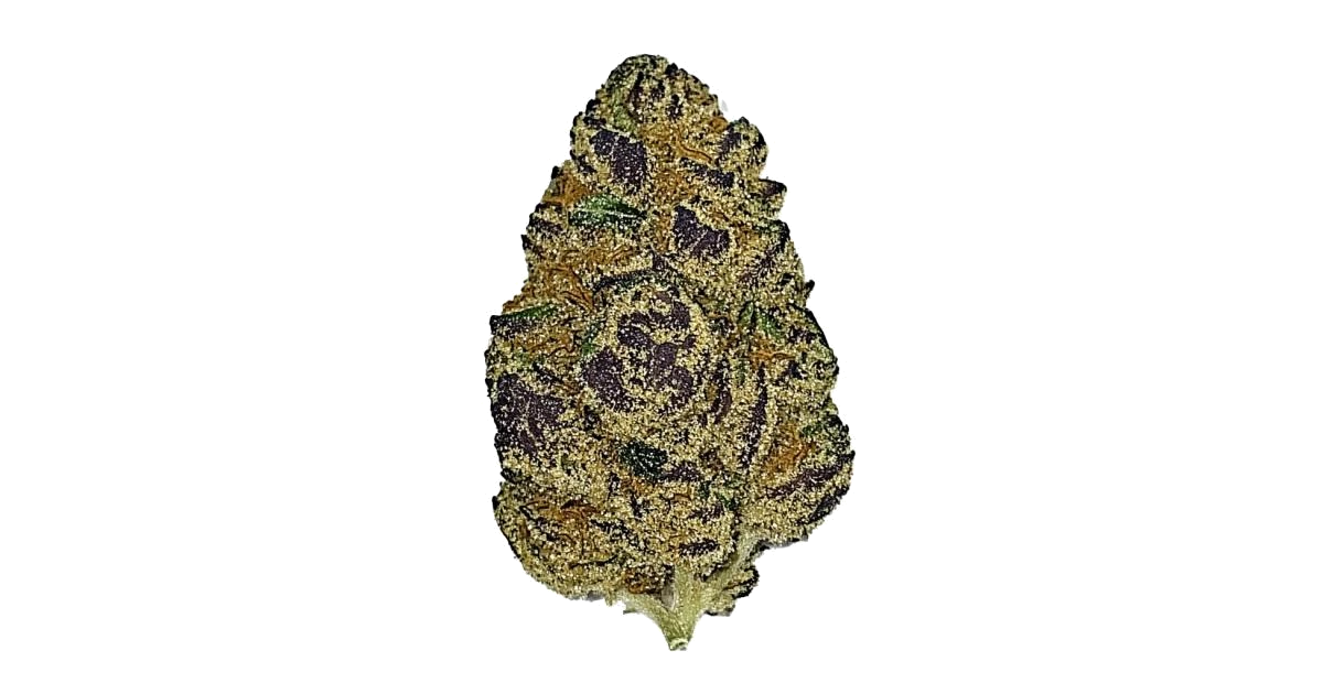 Lemon Pie