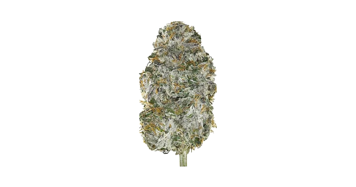 Lime Sickle