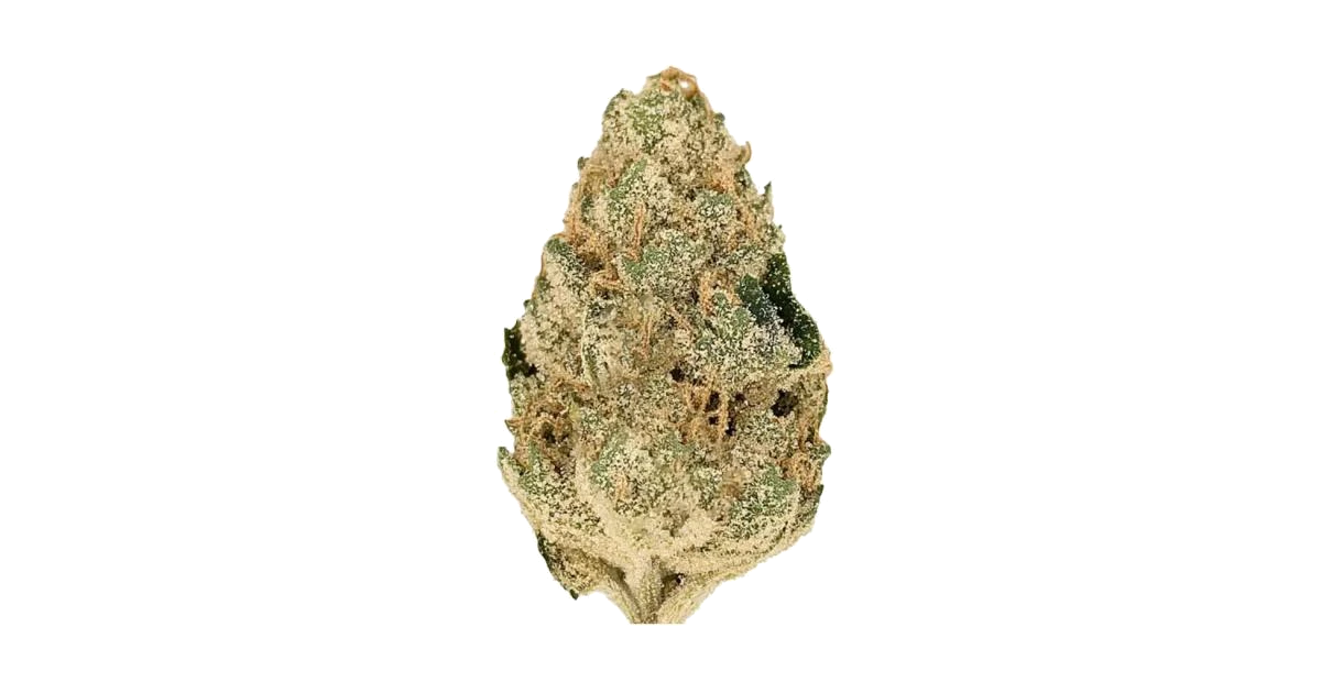 L'Orange