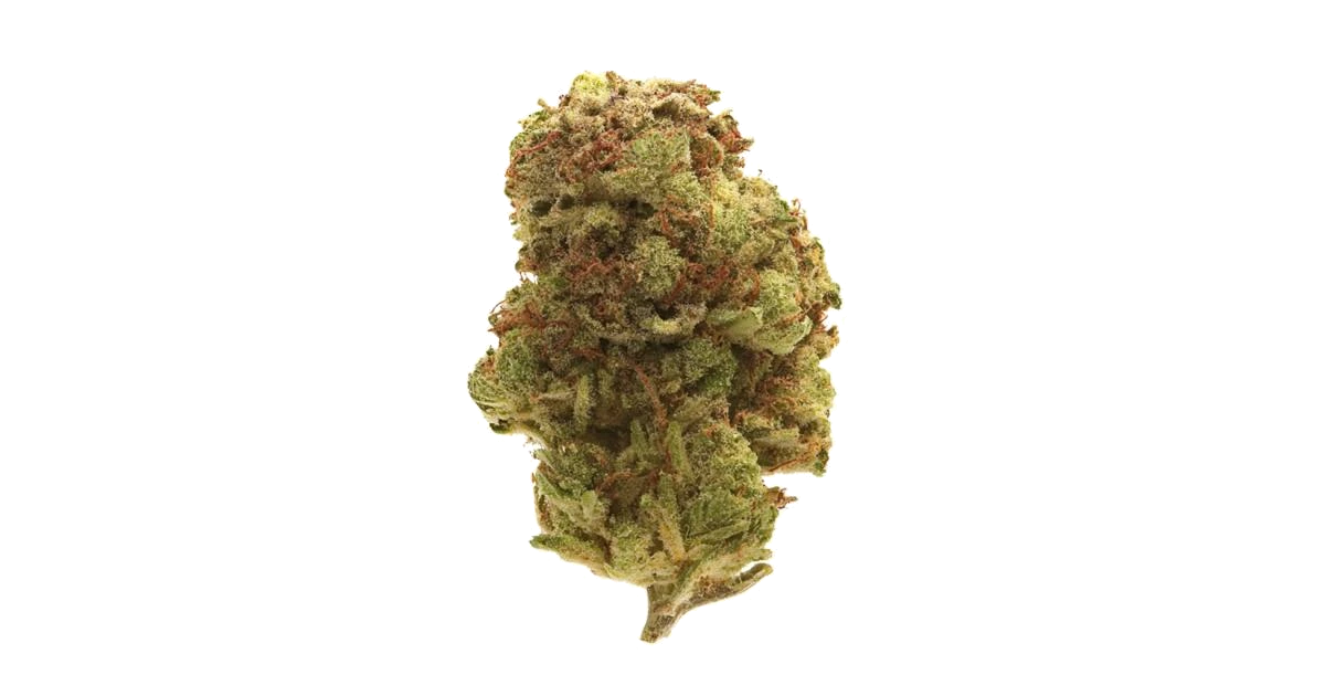 Mango Dream