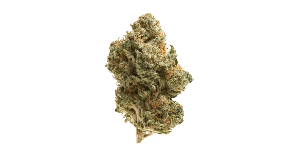 Mango Sherbert