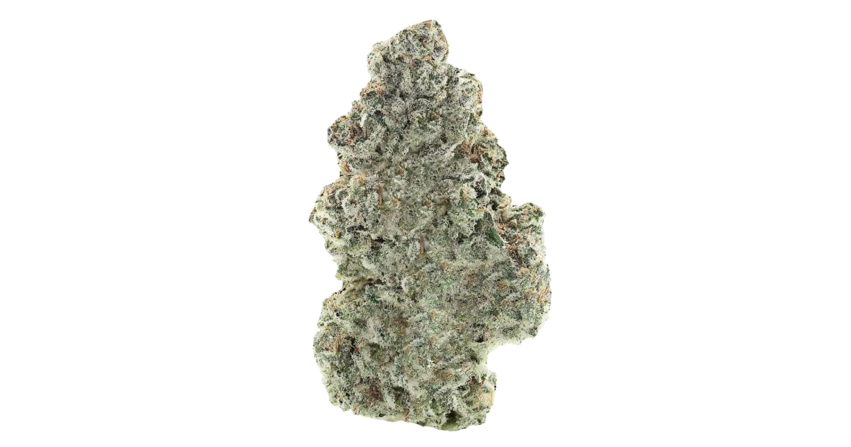 Medxotic Pure CBD