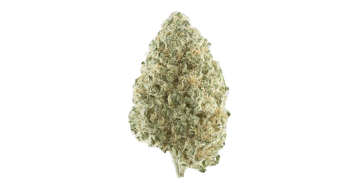 Mexican Sativa