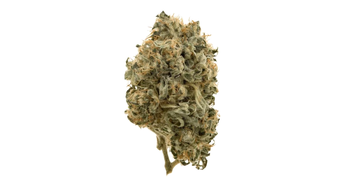 Moroccan Zowah