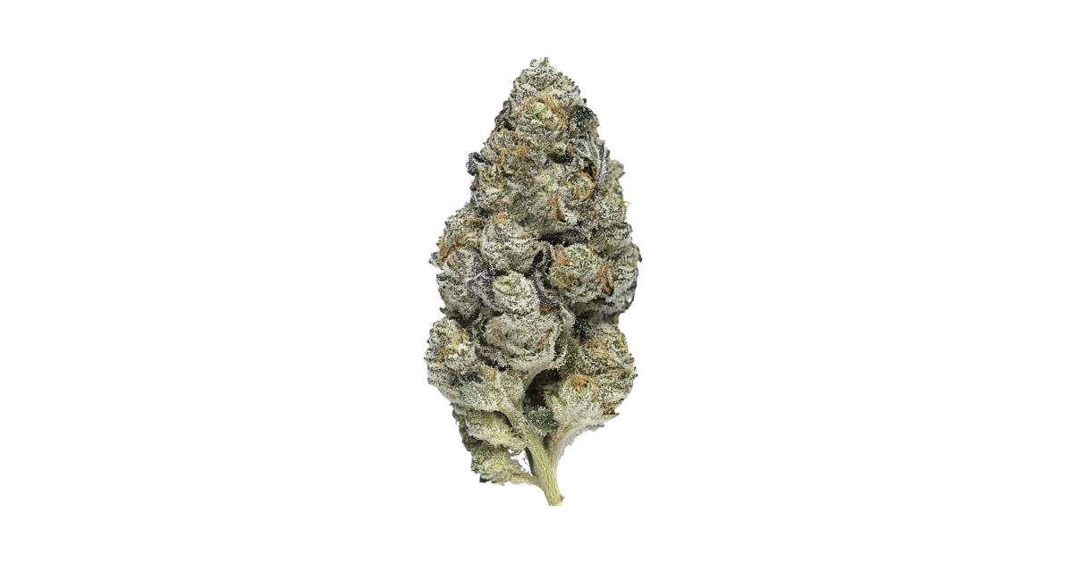 Mule Fuel