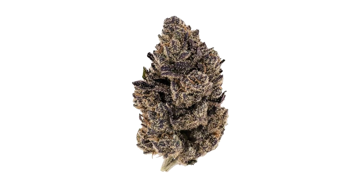 Nightshade