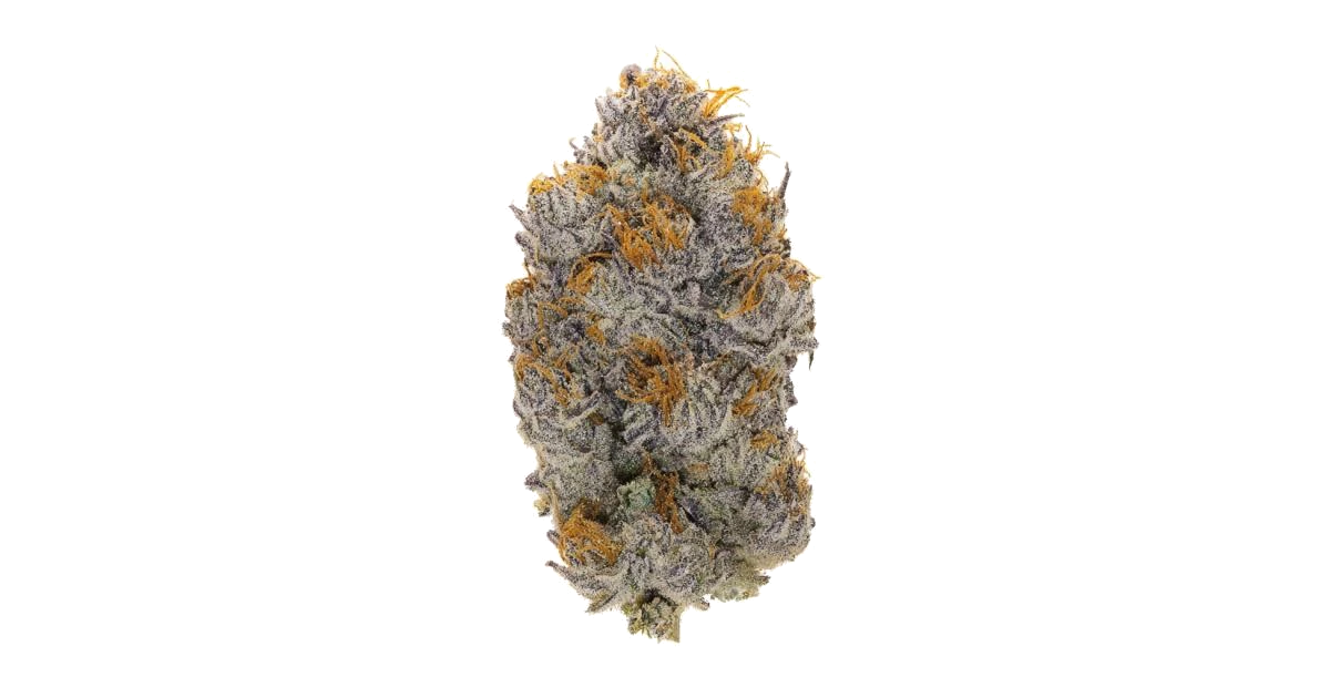 Nitro