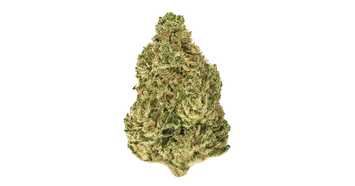 North American Indica