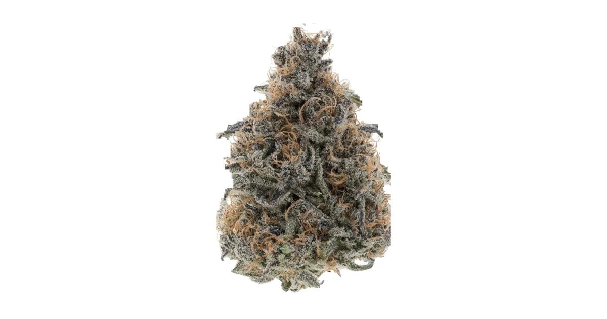 Orange 43