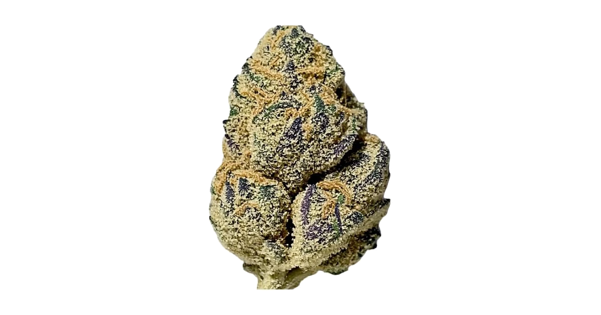 Orange Apricot