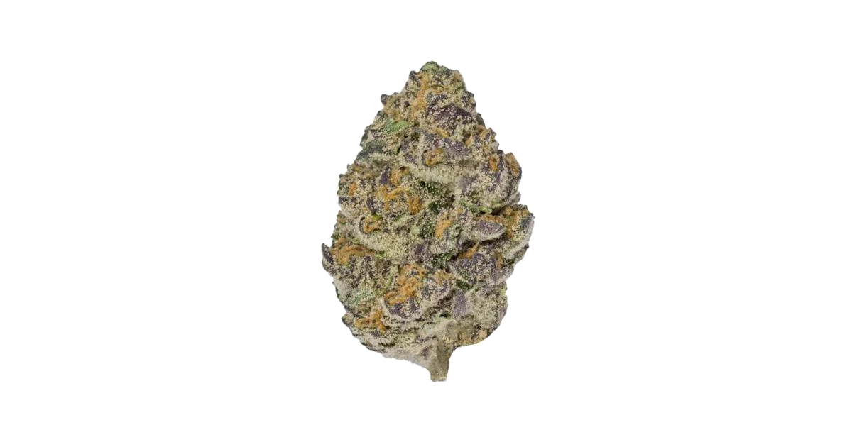 Orange Cream