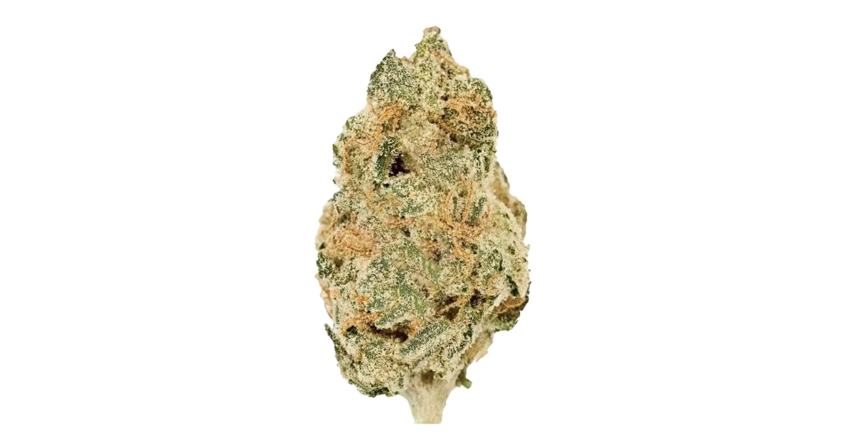 Orange Creamsicle