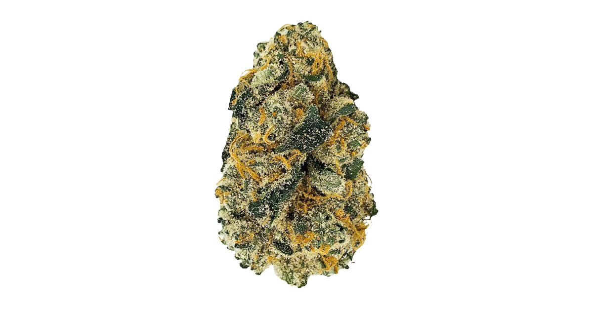 Orange Sherbert