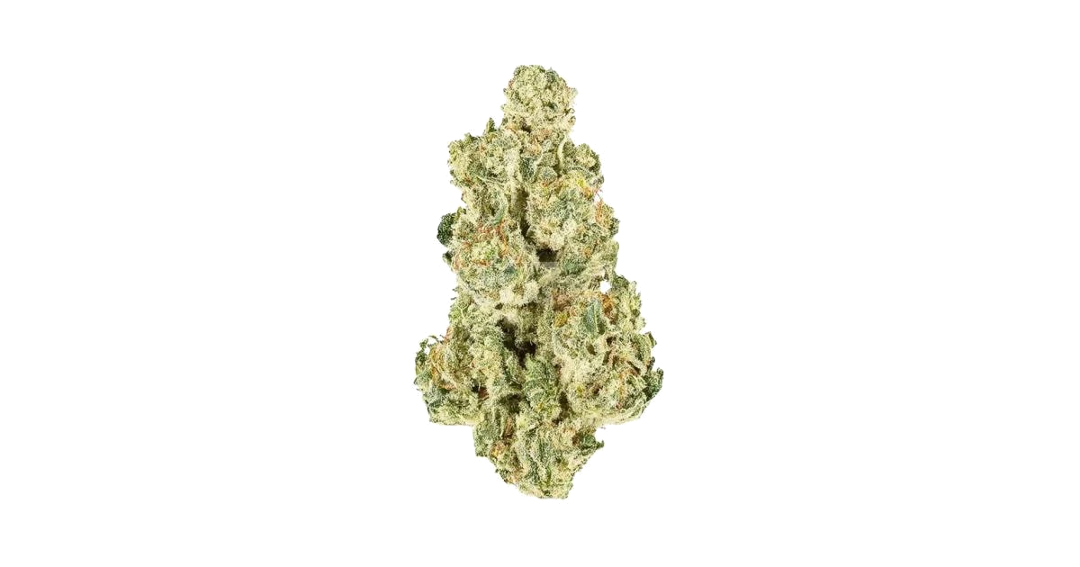 Orange Tree