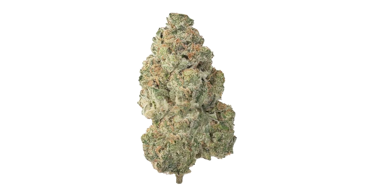 Original Glue