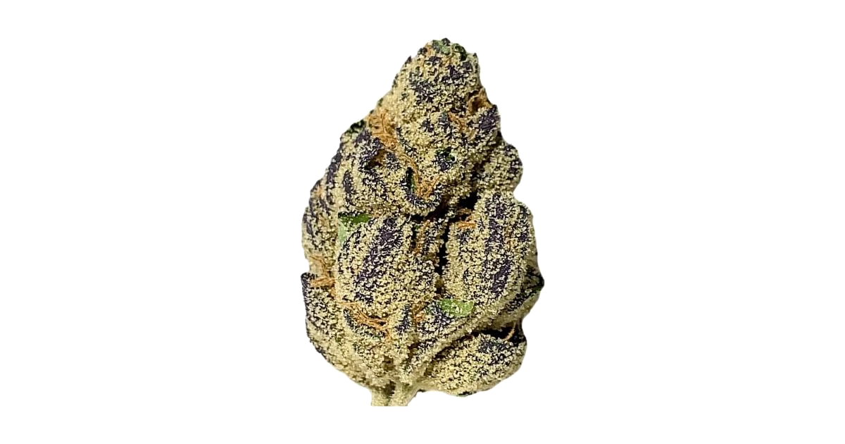 Outer Space