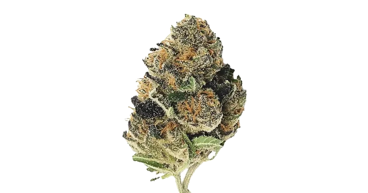 OZ Kush