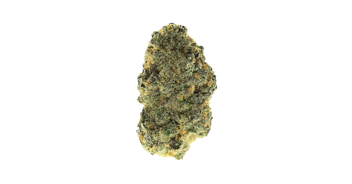 Pakistani Chitral Kush