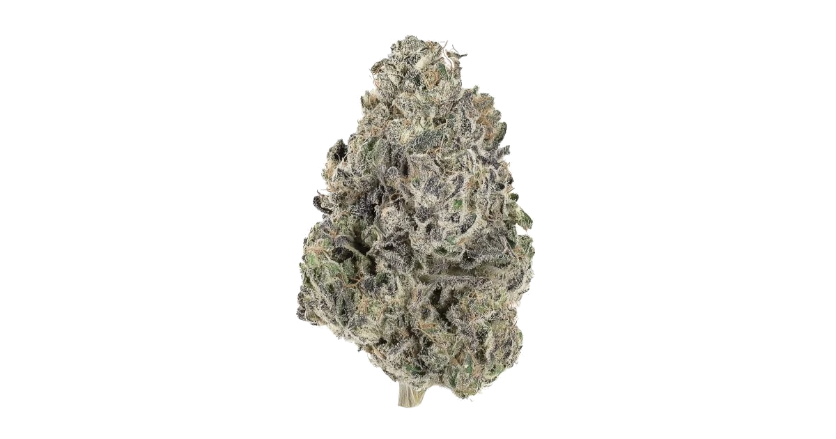 Papaya Fuel