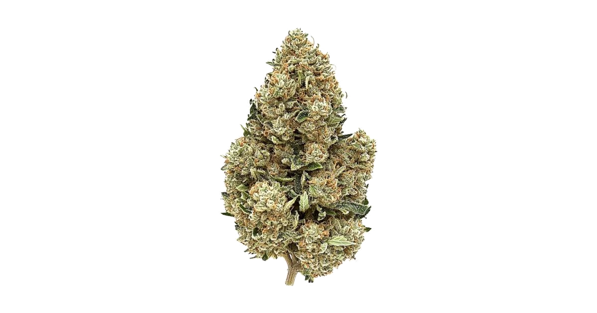 Pink Zugar