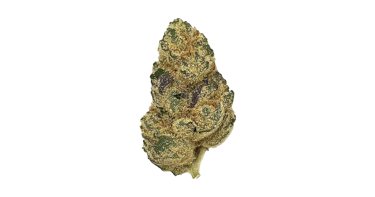 Pistachio